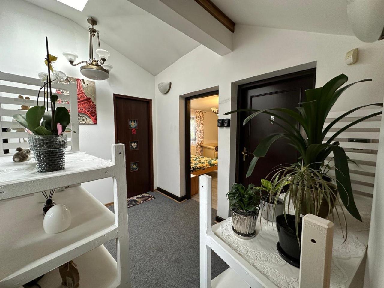 Guest House Villa Arkadia Varşova Dış mekan fotoğraf